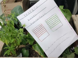 Escolas da Rede Estadual de MS são vencedoras do Prêmio Escolar Coopera Cerrado