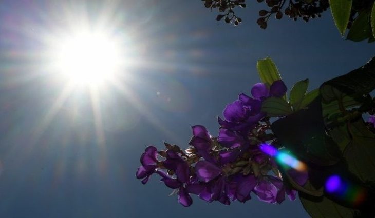 Terça-feira segue com tempo instável, com máxima de 30°C em Três Lagoas
