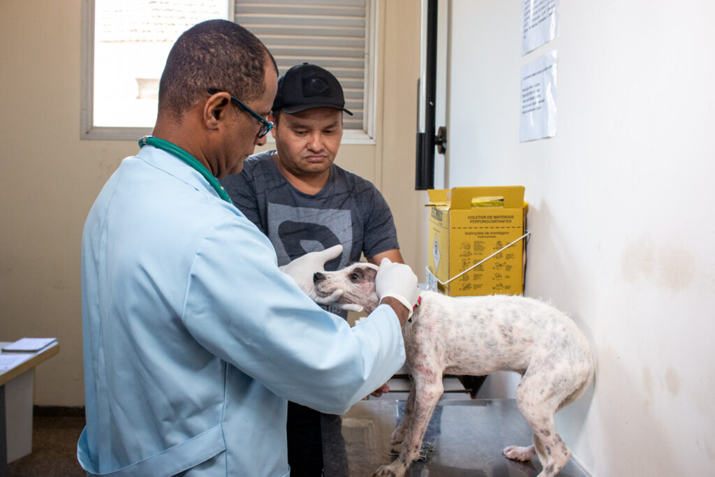 1ª ação de adoção de cães e gatos da Ubea é realizada hoje