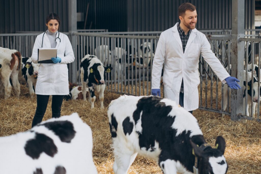 Campo Grande adere a programa + Pecuária Brasil que leva melhoria genética aos pequenos produtores