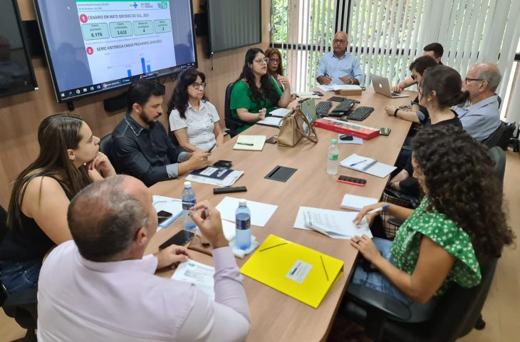 Comitê Técnico de Combate à dengue, Zika e chikungunya define estratégias para período de fortes chuvas