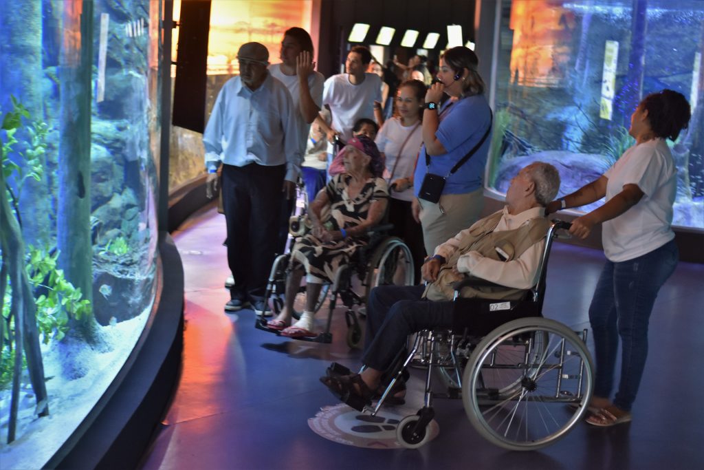 Grupo de idosos da Capital e interior sai da rotina em visita ao Bioparque Pantanal