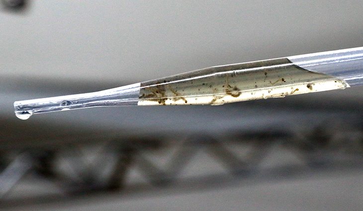 Manejo clínico da chikungunya é tema de capacitação do Governo na fronteira