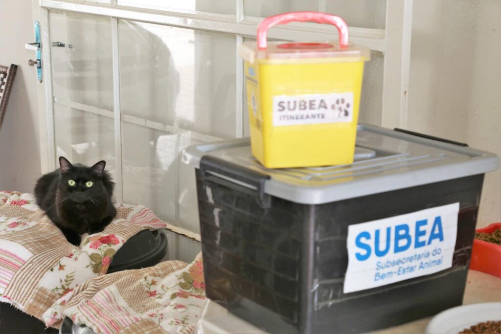 Prefeitura promove 1ª ação de adoção de cães e gatos neste sábado