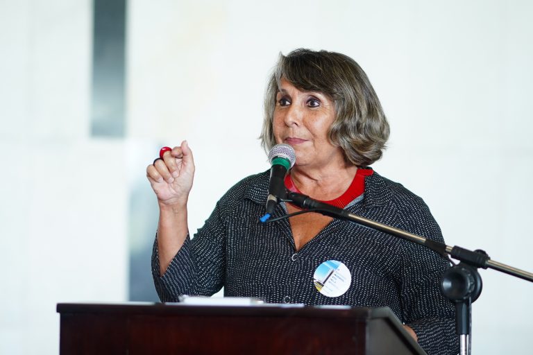Ato Público em Defesa da Democracia e do Parlamento Brasileiro. Dep. Erika Kokay(PT - DF)