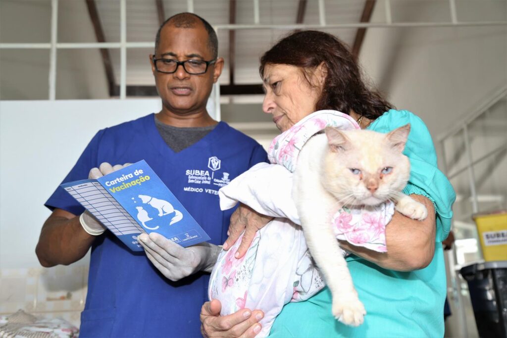 Unidade de Bem-Estar animal oferece atendimentos de alta complexidade em parceria com UFMS