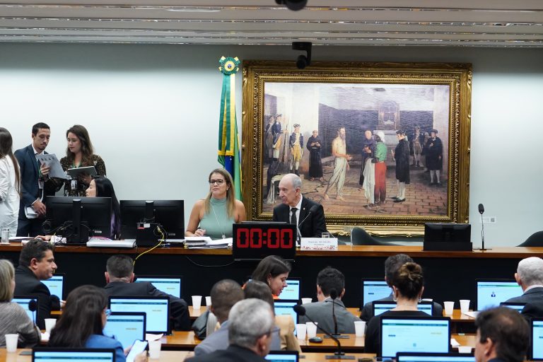 Discussão e votação de propostas legislativas. Dep. Rui Falcão (PT - SP)