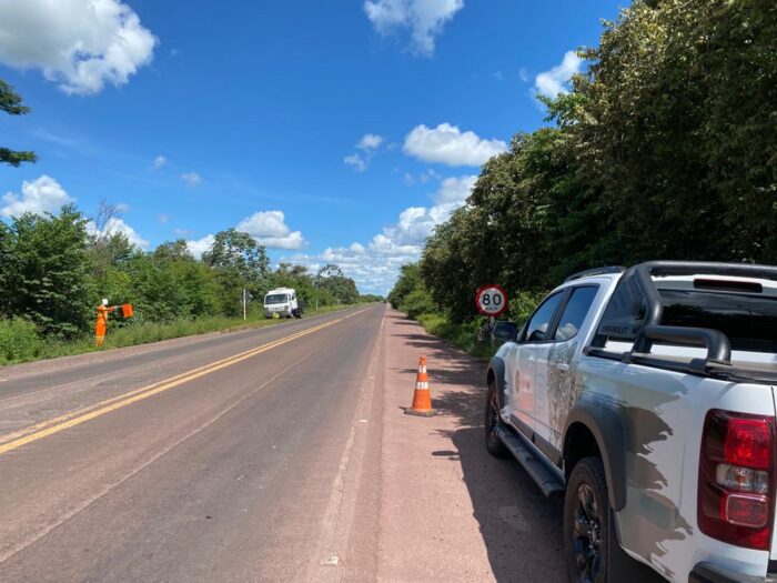 Em parceria com a PMA, ação usa até bonecos para salvar animais na principal rodovia do Pantanal