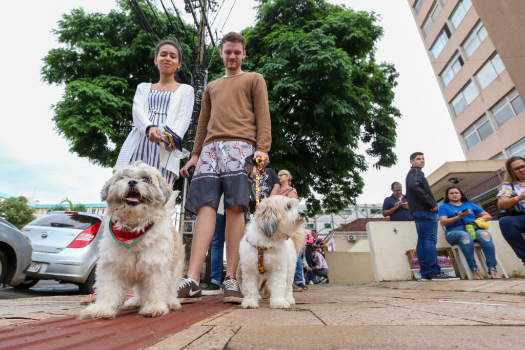 Subea realiza primeiro plantão de castração com 150 vagas para cães e gatos