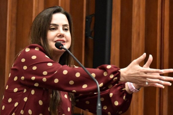 Deputada repudia administração da CCR MSVia na concessão da BR-163