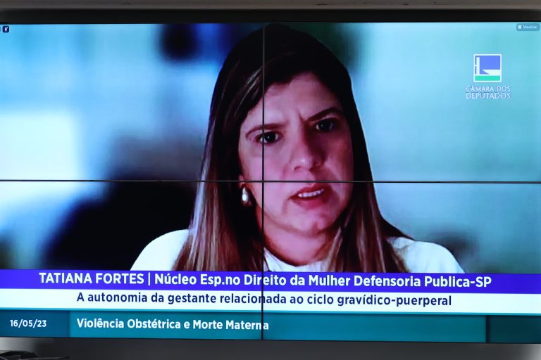 Audiência Pública - A autonomia da gestante nas decisões relacionadas ao ciclo gravídico-puerperal. Coordenadora do Núcelo Especializado no Direito da Mulher - DPESP - Defensoria Pública do Estado de São Paulo, Tatiana Bias Fortes.