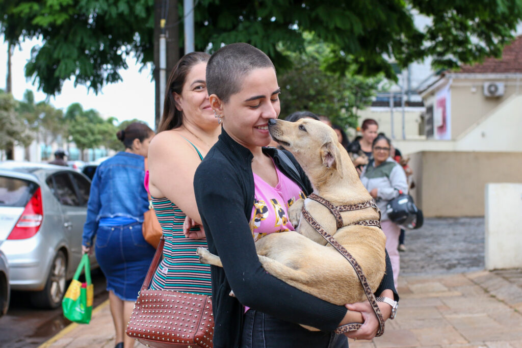 Plantão de castração da Subea com 200 vagas acontece nesta quarta-feira