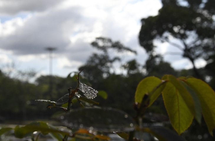 Previsão é de terça-feira com chuvas em Mato Grosso do Sul