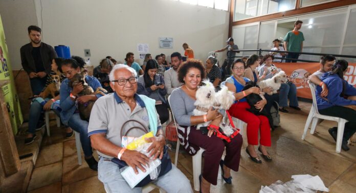 Subea realiza segundo plantão de castração com 200 vagas para cães e gatos