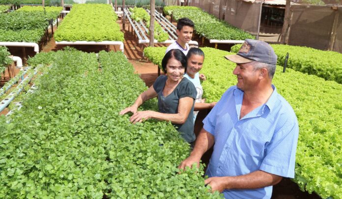 Cadastro Municipal do Produtor vai assegurar transparência e eficiência do setor