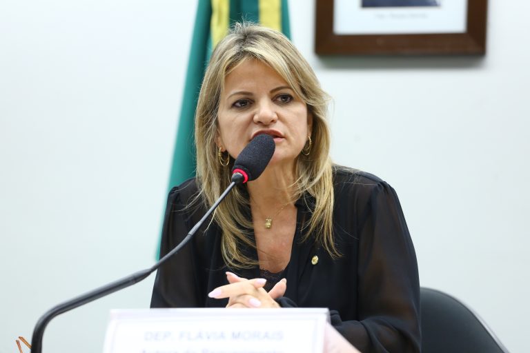 Deputada Flávia Morais (PDT-GO) em comissão da Câmara dos Deputados