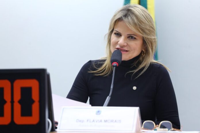 Deputada Flávia Morais (PDT-GO) fala em comissão da Câmara dos Deputados
