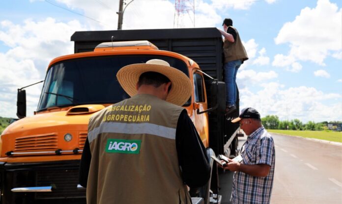 Governo decreta estado de alerta zoosanitário e cria sistema de monitoramento de prevenção à gripe aviária