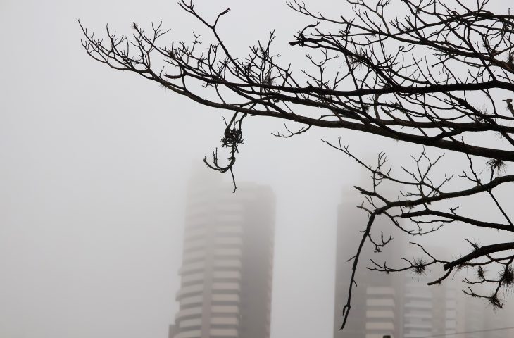 Manhã fria e tarde ensolarada é a previsão para MS neste sábado