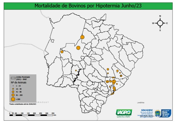 Nota Técnica Iagro e Semadesc: Sobre casos de mortalidade de bovinos em MS