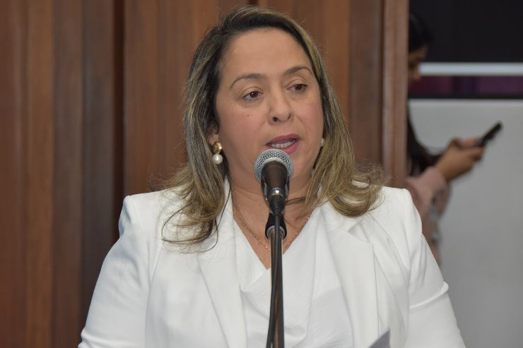 Projeto de Lei institui Acervo do Patrimônio Histórico, Cultural e Natural de MS