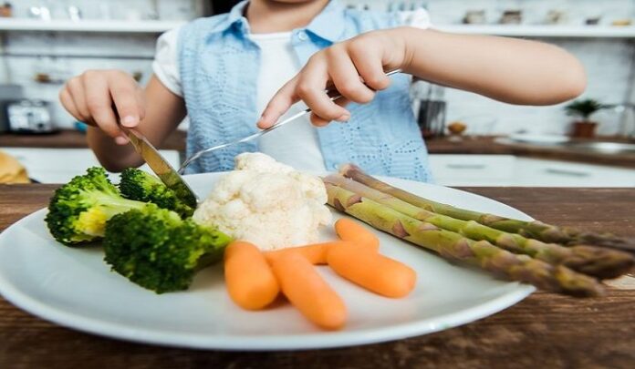 SES promove ciclo de palestras com objetivo de construir a Linha de Cuidado do Sobrepeso e Obesidade de MS