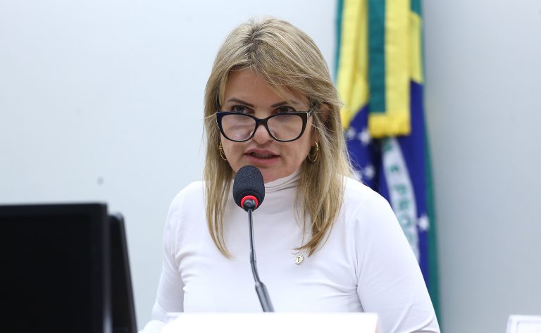 Audiência Pública – Dia Mundial de Conscientização da Violência contra a Pessoa Idosa. Dep. Flávia Morais(PDT - GO)