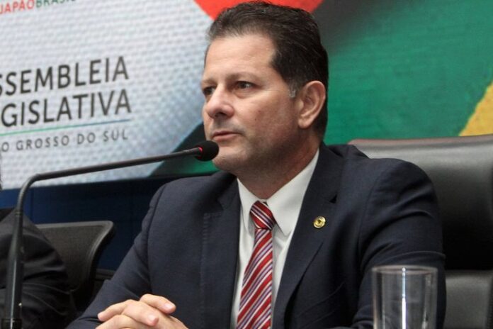 Audiência pública debaterá prevenção e controle do milho guaxo nas lavouras de MS
