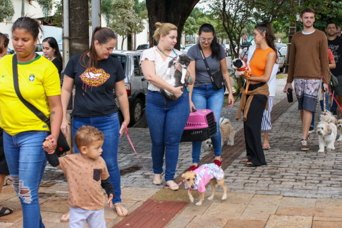 Prefeitura realiza mais de 8 mil atendimentos em pets no primeiro semestre de 2023