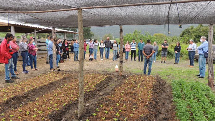 Projeto de produção agroecológica leva agricultores familiares à universidade para plantar ciência