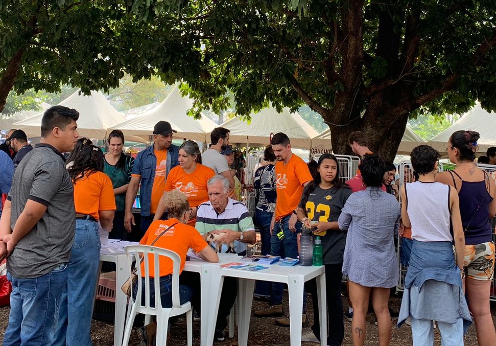 Subea encaminha mais de 40 animais para adoção em ação na Praça Bolívia