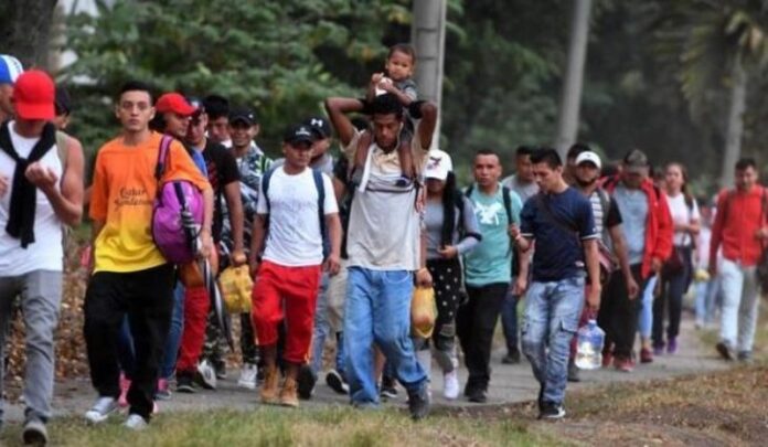 Abertas inscrições para eleição de novos integrantes do Comitê para Refugiados, Migrantes e Apátridas em MS