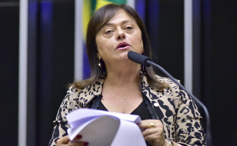 Discussão e votação de propostas. Dep. Alice Portugal (PCdoB - BA)