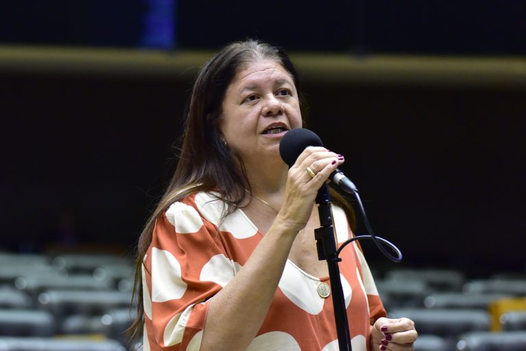 Deputada Laura Carneiro fala ao microfone