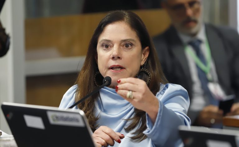 Soraya Santos fala durante reunião de comissão