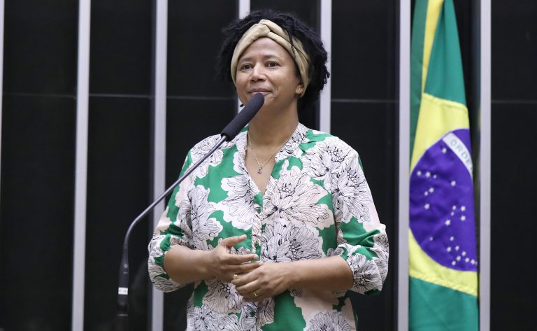 Discussão e votação de propostas. Dep. Silvia Cristina (PL - RO)