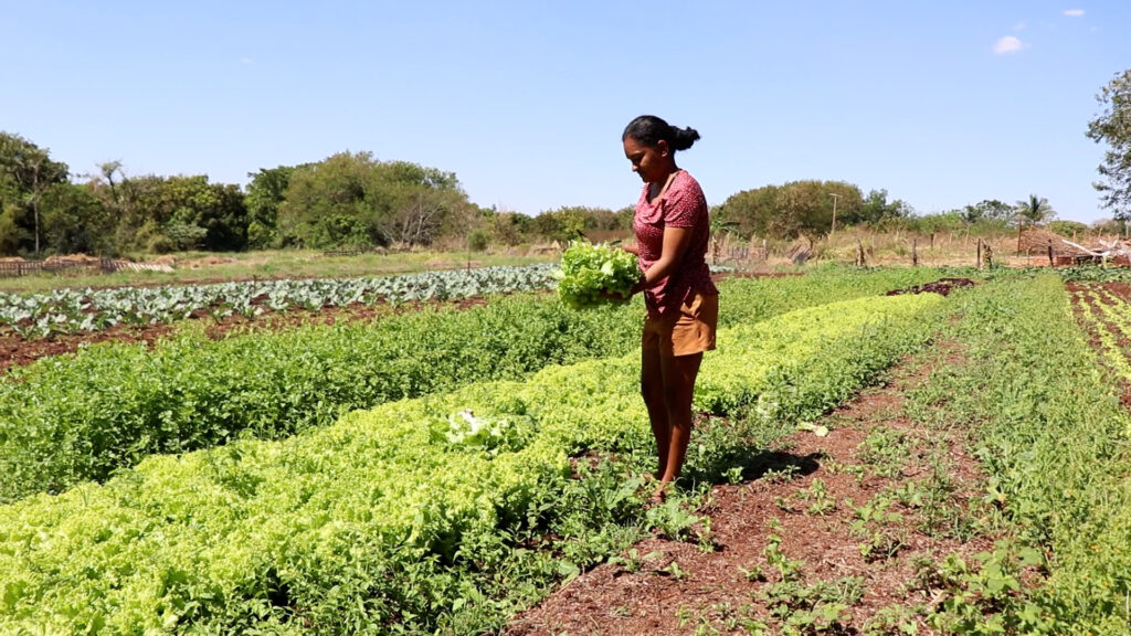 Dia do feirante: com apoio da Agraer horticultora comercializa produtos em feira e garante renda familiar