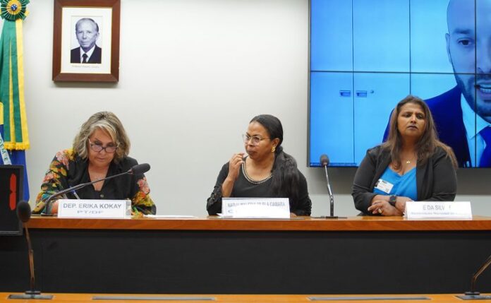 Participantes da audiência pública na comissão de Legislação Participativa