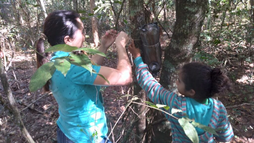 Povo do mel: para preservar cultura e língua indígena Ofaié, estudantes criam abelhas em aldeia
