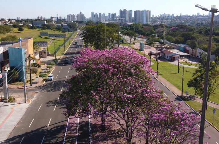 Terça-feira tem previsão de tempo estável e seco em todas regiões do Estado
