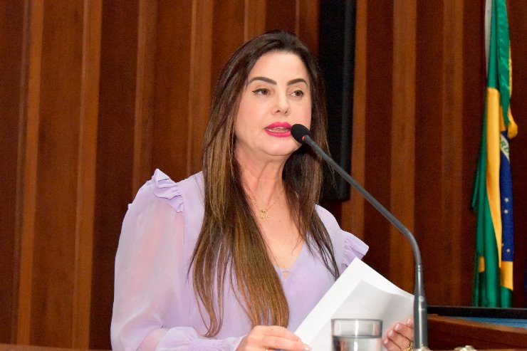 <b>Agosto Lilás</b>: Projeto propõe criação da Procuradoria Especial da Mulher na ALEMS