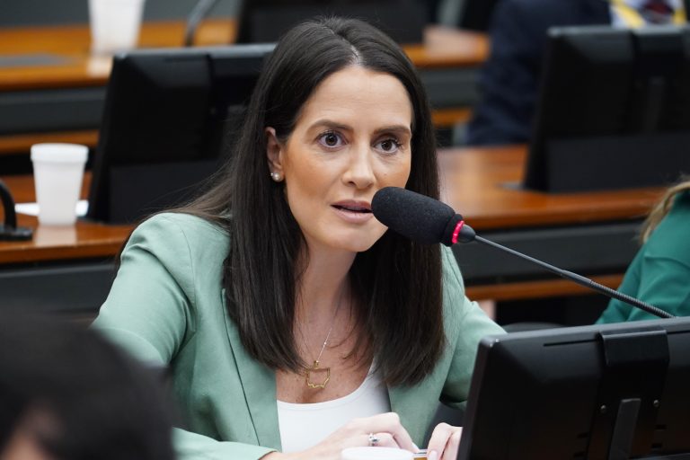 Amália Barros fala durante reunião de comissão