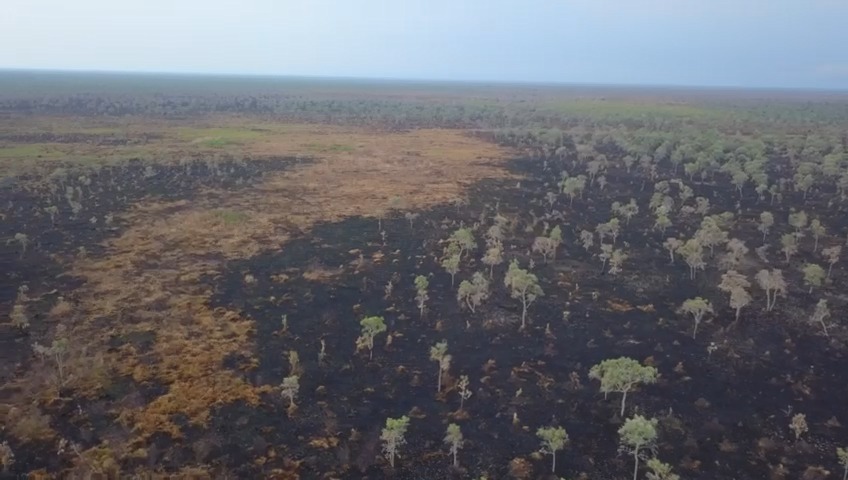 Com atuação intensa e após chuva, Bombeiros de MS controlam focos de incêndios no Pantanal