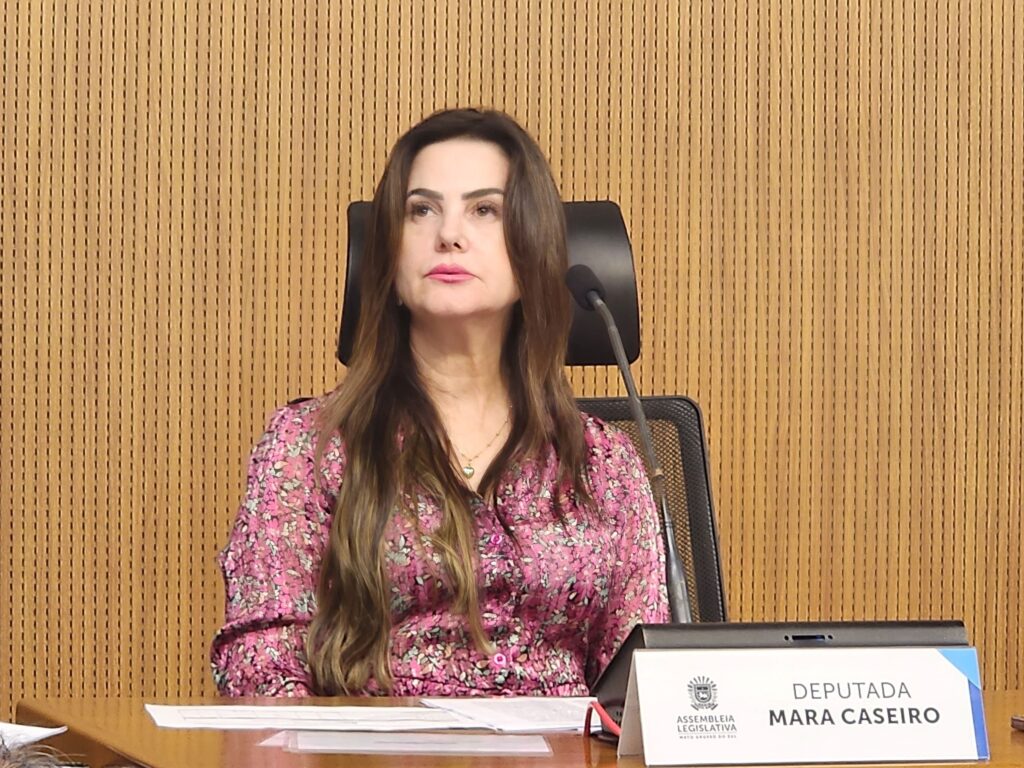 Durante este ano, CCJR realizou 35 sessões e analisou 512 proposições legislativas