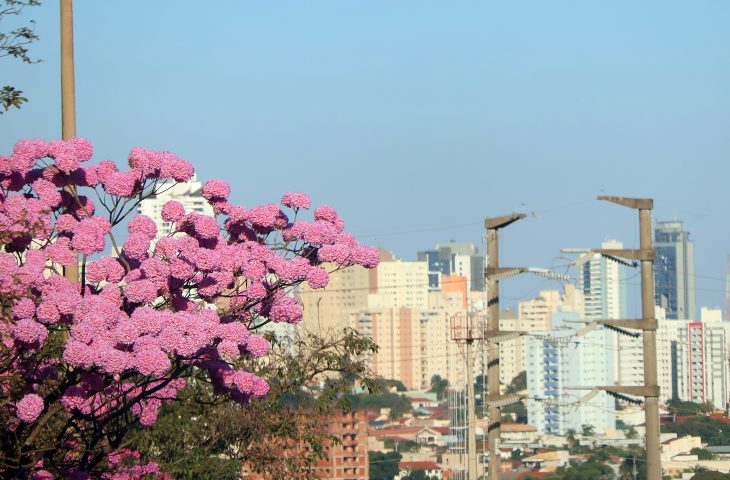 Sábado de sol tem aumento de temperaturas como destaque em Mato Grosso do Sul