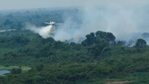 Com atuação coordenada por terra e ar, bombeiros de MS controlam incêndio no Pantanal