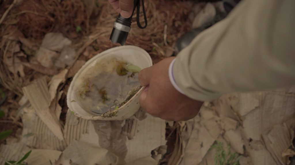 Guerra ao mosquito: Defesa Civil de MS inicia combate à dengue na divisa com PR, SP e MG