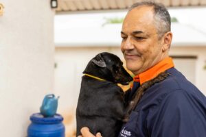 Proposta pelo vereador Prof. André Luis, identificação de cães é aprovada na Câmara