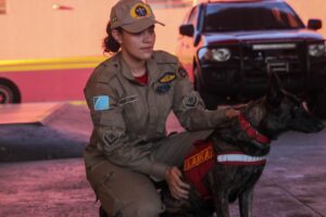 Bombeiros reforçam salvamento no RS com nova equipe de militares e cadela de busca